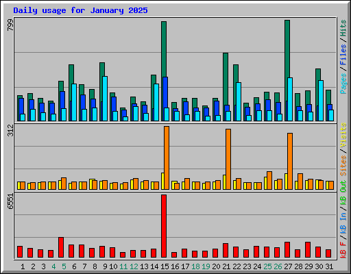 Daily usage for January 2025