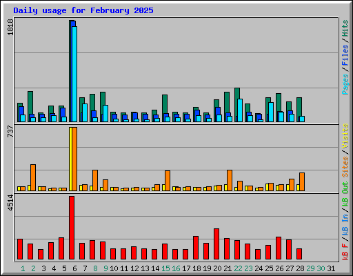 Daily usage for February 2025