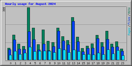 Hourly usage for August 2024