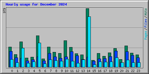 Hourly usage for December 2024