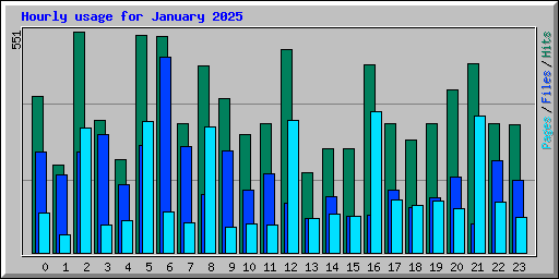 Hourly usage for January 2025