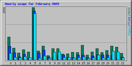 Hourly usage for February 2025