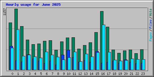 Hourly usage for June 2025