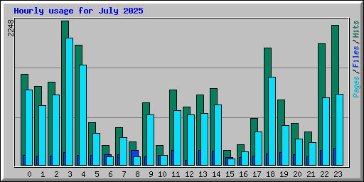 Hourly usage for July 2025