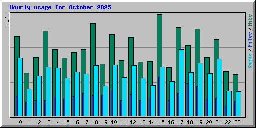 Hourly usage for October 2025