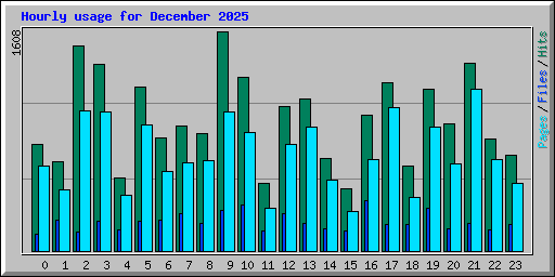 Hourly usage for December 2025