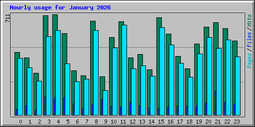 Hourly usage for January 2026