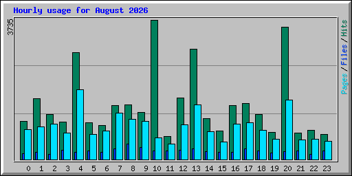 Hourly usage for August 2026
