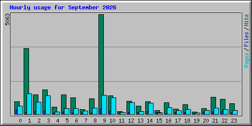 Hourly usage for September 2026