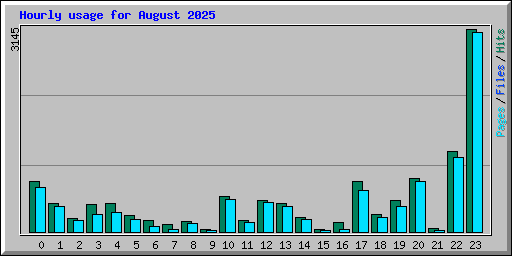 Hourly usage for August 2025