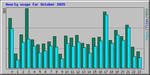 Hourly usage for October 2025