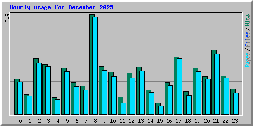 Hourly usage for December 2025
