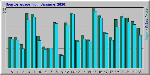 Hourly usage for January 2026