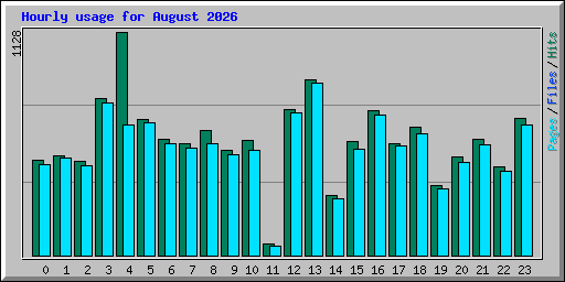 Hourly usage for August 2026